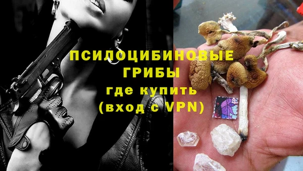 прущие грибы Алзамай