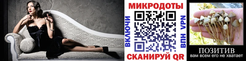 закладка мориарти как зайти Псилоцибиновые грибы GOLDEN TEACHER Сольвычегодск